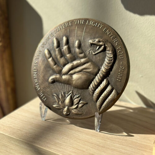 Bronze medallion, mounted on a plate holder. Raking light from the left side.