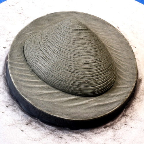 Clay model of a quahog, 2.5" to be casted in bronze.
