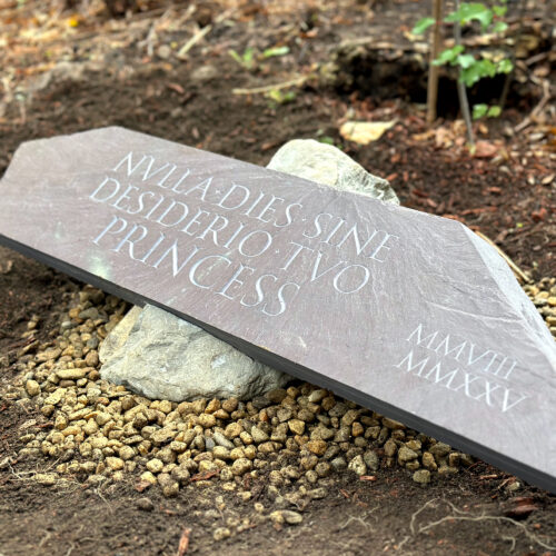 Small pet memorial in red slate. Letters deeply carved.